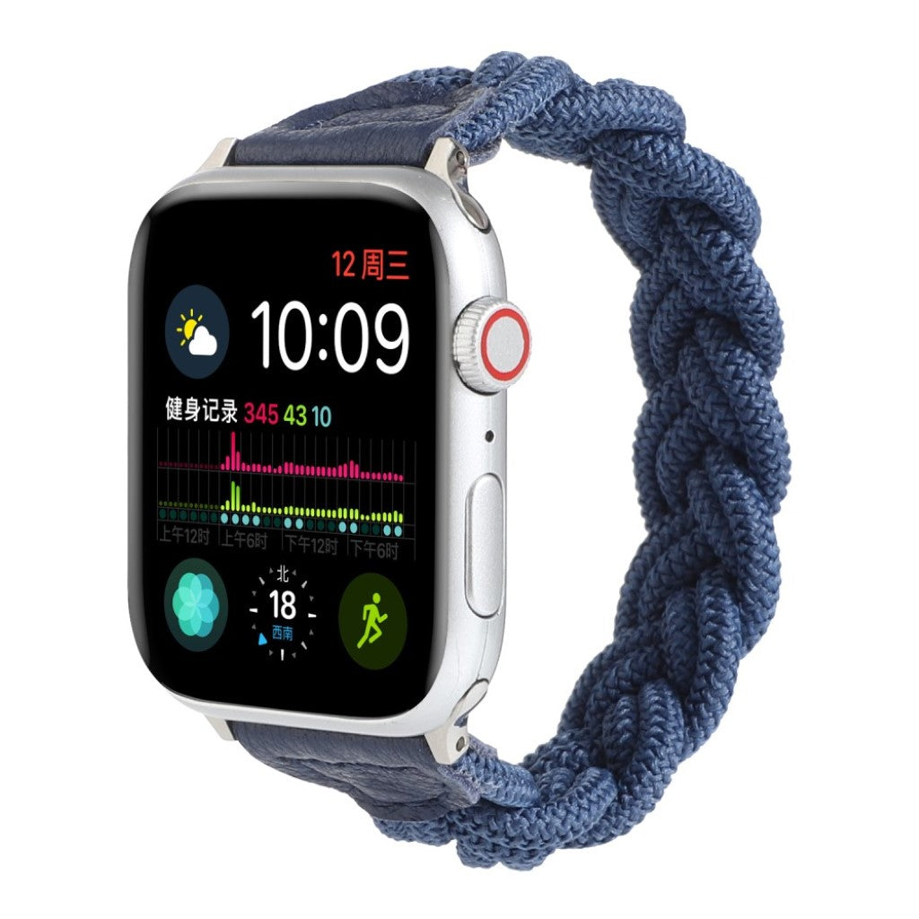 Meget pænt Universal Apple Nylon Rem - Blå#serie_12