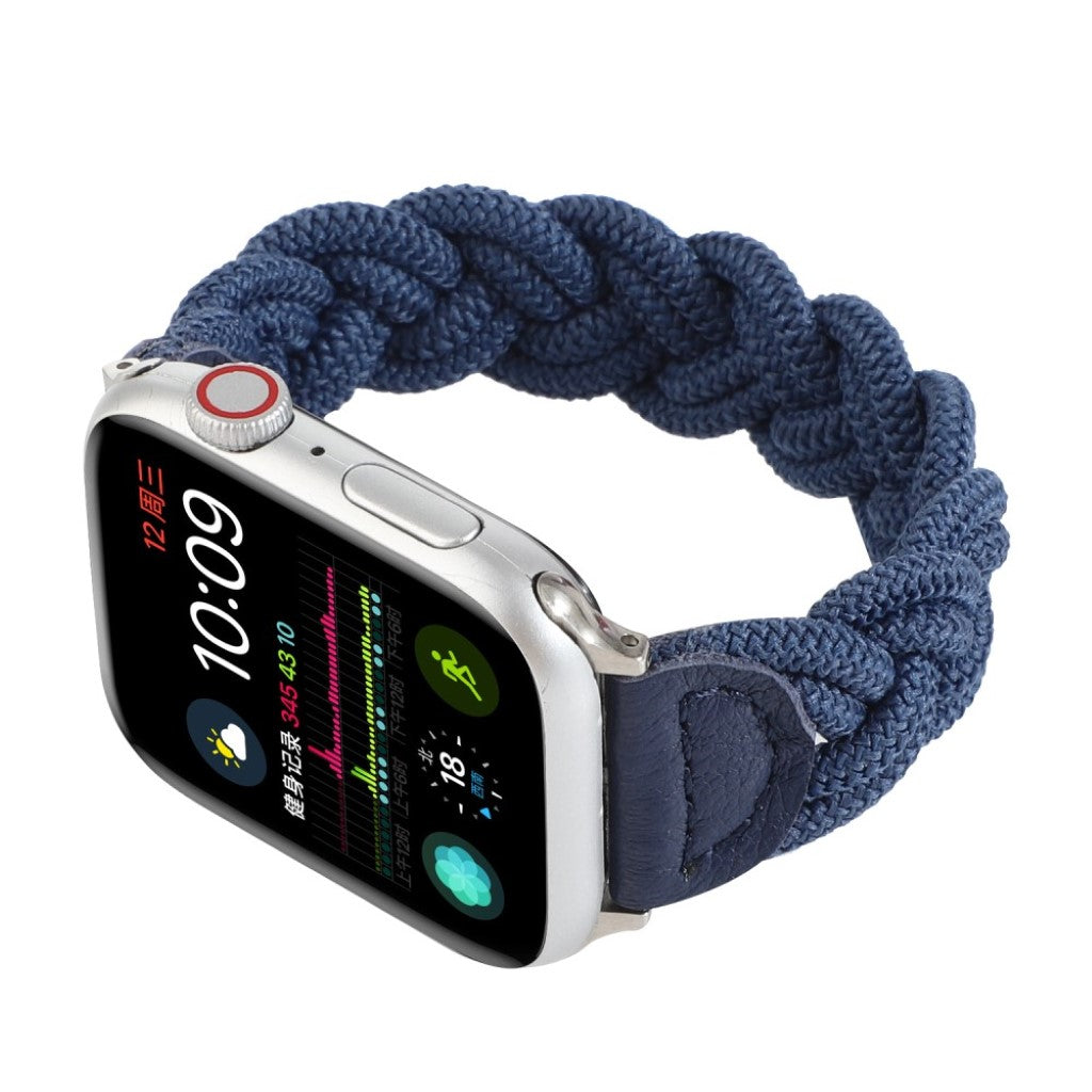 Meget pænt Universal Apple Nylon Rem - Blå#serie_12