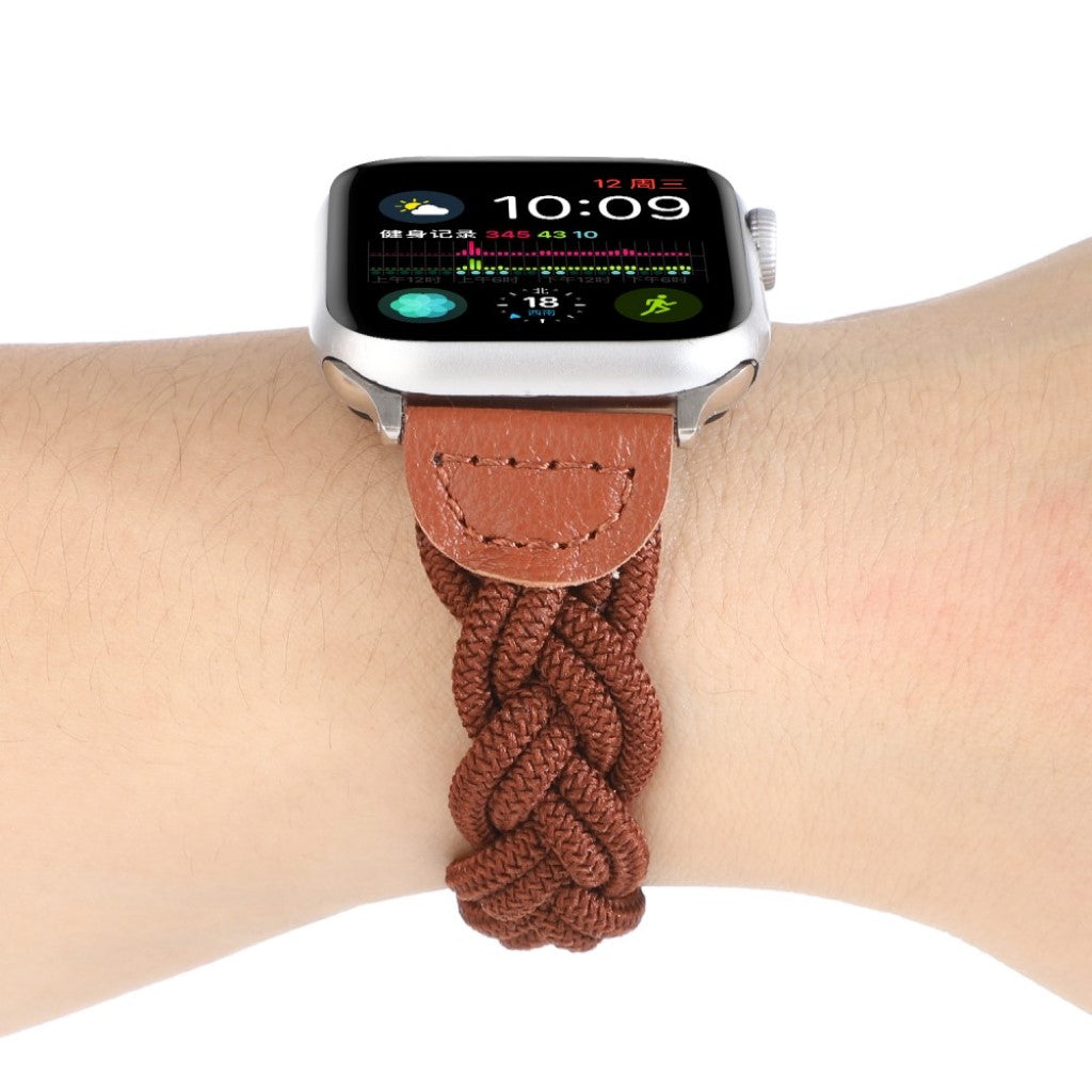 Meget pænt Universal Apple Nylon Rem - Brun#serie_14