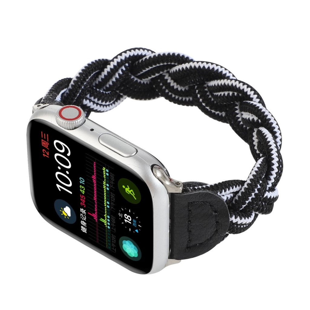 Meget pænt Universal Apple Nylon Rem - Sort#serie_2