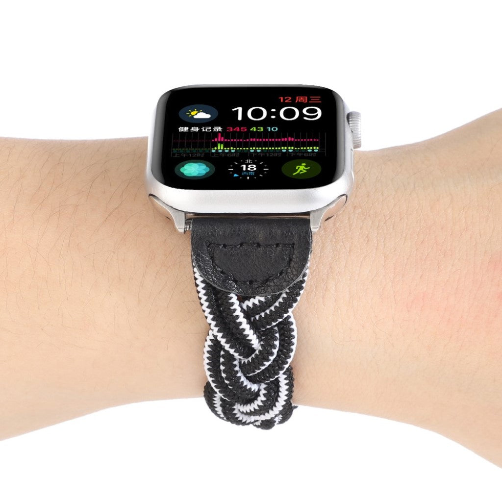 Meget pænt Universal Apple Nylon Rem - Sort#serie_2