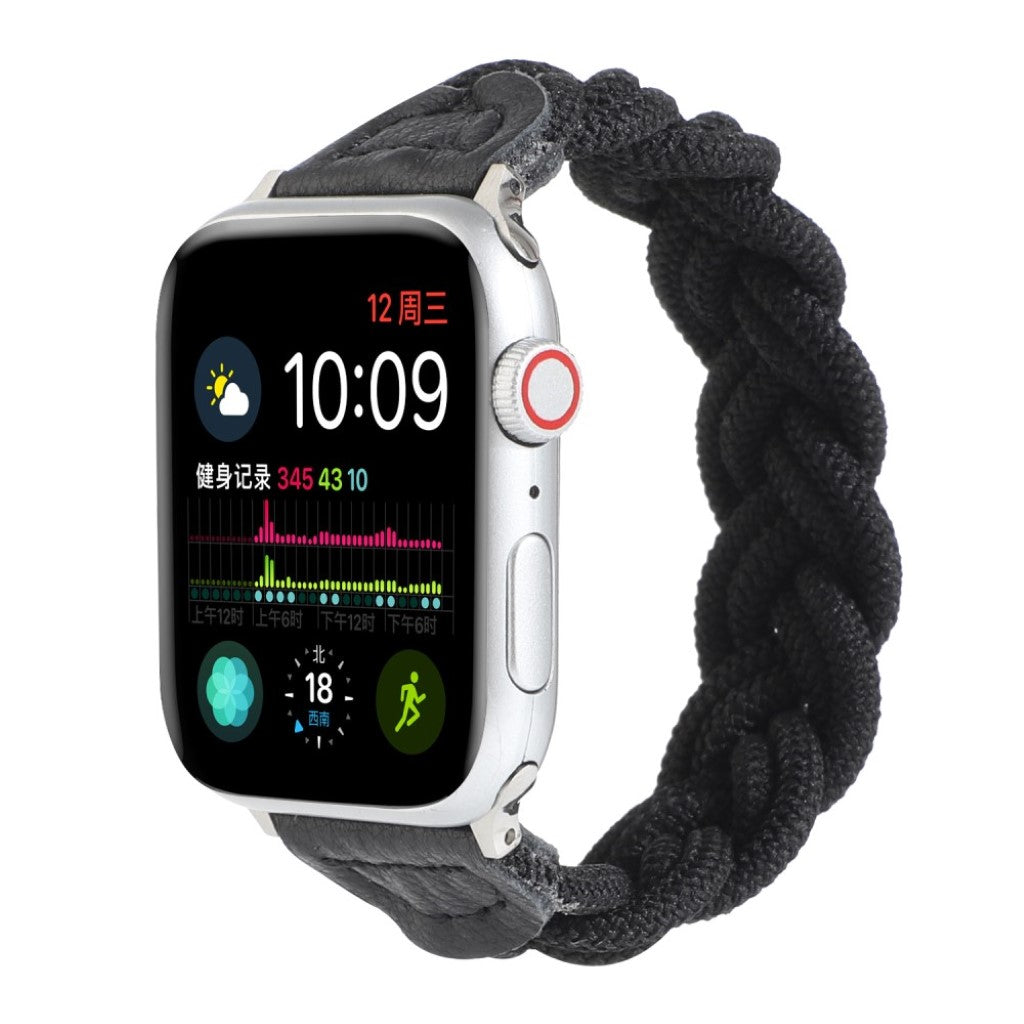 Meget pænt Universal Apple Nylon Rem - Sort#serie_5