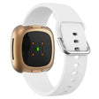 Mega pleasant Universel Fitbit Silicone Strap